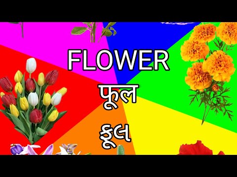 @"Magical Flower Adventures for Kids: Learn About Beautiful Blooms and Their Secrets!"