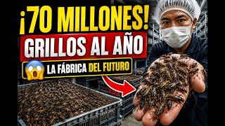 🔥 La Fábrica que Produce MILLONES de Grillos Cada Mes y Gana Millones de Dólares