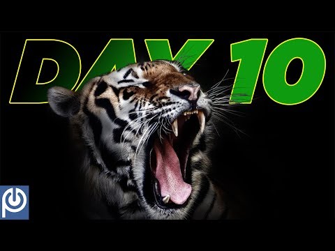 90 Days To Freedom From Porn: Day 10