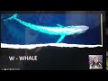 Animals Alphabets