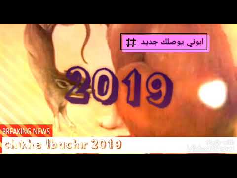 شاب البشير 2019 تعيا نار و تولي رماد 🔥🔥🔥🔥🔥🔥💥
