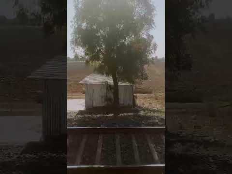 Train journey and beautiful nature