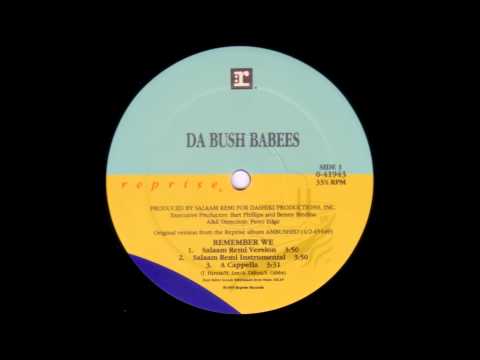 da bush babees-remember we (salaam remi remix instrumental)