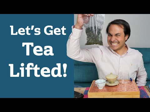 Going GAGA over YOUNG GUSHU 2023 - Raw PuErh Tea Mega Session!