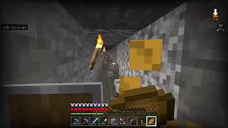 現在無投稿のマイクラひたすら整地配信(声無し