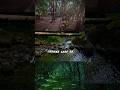 Darkside X Aaja Sanam No Copyright Whatsappstatus Shortvideo