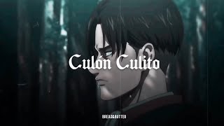 Culon Culito - Cartel de Santa (letra)┊Levi vs Zeke AMV