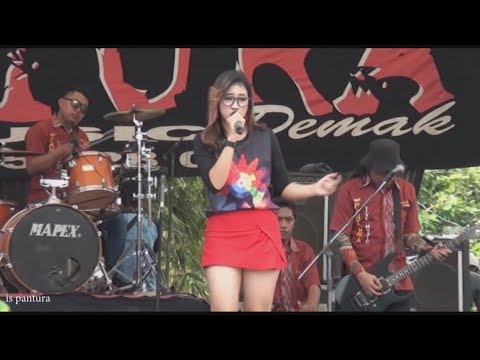 MASIH GROGI, Bunga Permata SAAT PERTAMA IKUT new PANTURA 051117