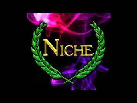 NicheOrgan   Take You There DJ BLAZE NEW 2010 MIX