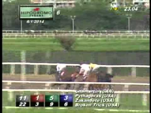 6TA CARRERA DOMINGO 01 DE JUNIO DE 2014