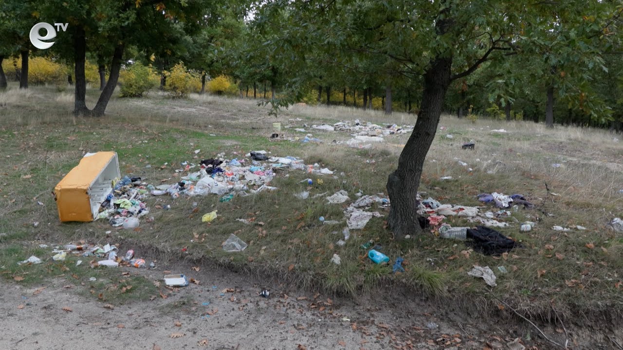 Гората във вилната зона на кв. "Орфей" се е превърнала в сметище