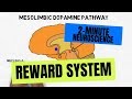 2-Minute Neuroscience: Reward System - Neuroscientifically Challenged 2-Minute Neuroscience: Reward System
