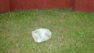 Come Rain or Come Shine - Performance by Juliette and the Licks - Direct by Saparelli