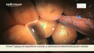 Rosendo Inner7Sanki.mkv