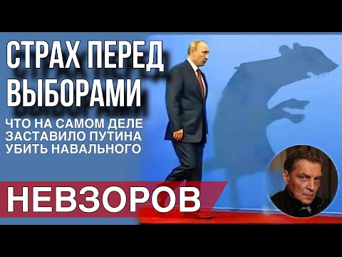 Настоящая причина убийства Навального. Питерские валькирии свободы. Расходы на содержание Соловьева