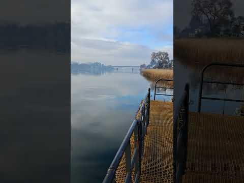 valdivia region de los rios chile
