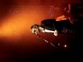 The Divine Comedy - Diva Lady