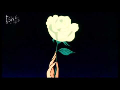 Vanessa da Mata - Amado (Letra/Legendado)