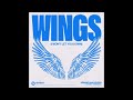 Armand Van Helden x Karen Harding - Wings (I Won’t Let You Down)