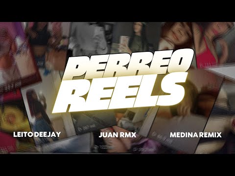 🎬 PERREO REELS 🎬 - LEITO DEEJAY ✘ JUAN RMX ✘ MEDINA REMIX ( TODA LAS GATAS SE ENAMORAN )