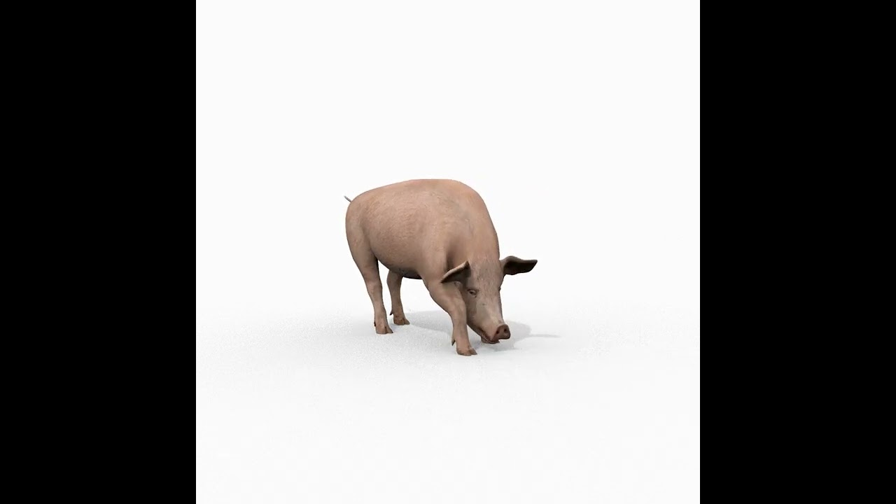Porky the pig - animated 3d fur model 3D Model