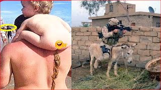Best Funny Videos  - Try to Not Laugh 😆😂🤣#44