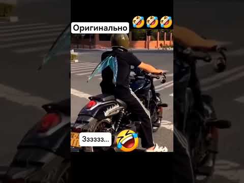 #друзья #лайк #топ #популярное #подпишись #жизнь #люди #юмор #прикол #мотоцикл #муха #милота