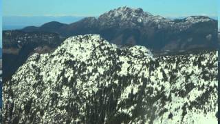 Manu Dibango      Wakafrika