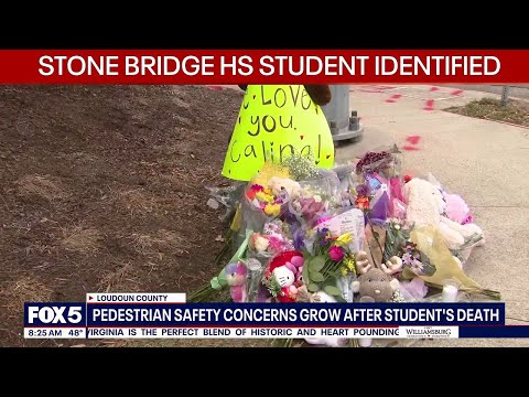 Stone Bridge HS student identified after being struck, killed
