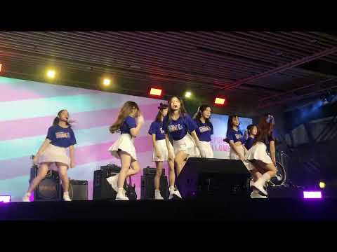 ONE DAY​ ROOKIES​ - Love Aplication