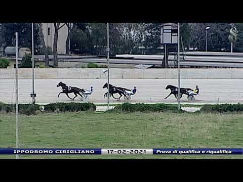 Aversa trotto 17 Febbraio 2021 - Prova di qualifica e riqualifica