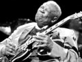 B. B. King-Every Day I Have The Blues (Live at the Regal)