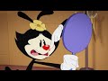 Animaniacs 2020 Zit Song