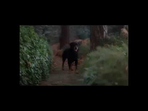 Los perros del infierno