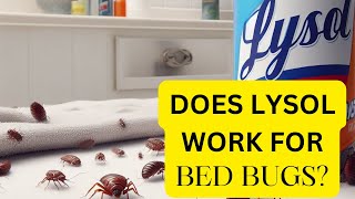 How To Use Lysol For Bed Bugs #bedbugtreatment #bedbugs