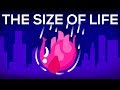 What Happens If We Throw an Elephant From a Skyscraper? Life & Size 1 What Happens If We Throw an Elephant From a Skyscraper? Life & Size 1