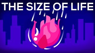 What Happens If We Throw an Elephant From a Skyscraper? Life &amp; Size 1