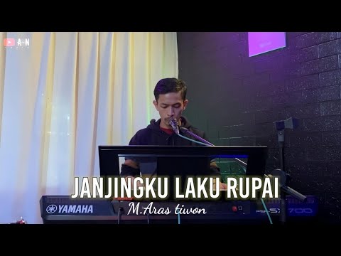 Janjingku Laku Rupai - Karya Cipt M.Aras Tiwon ( Cover live Aly Annafis)