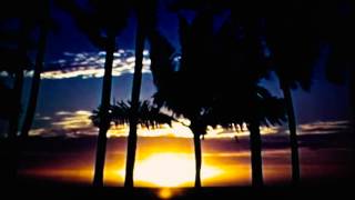 rhythm and sound - mango drive