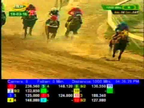 Resumen Viernes, 18 de Marzo de 2016 -  Valencia