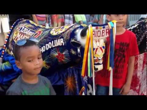Catirina video