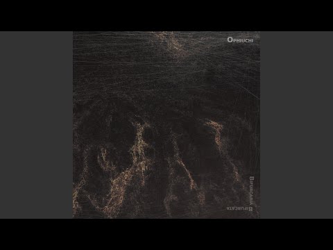 Bifurcaria Bifurcata