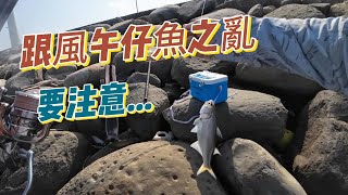 2024鹿港午仔魚之亂你跟上了嗎?跟我一樣釣不好嗎?!有一些注意事項讓你不會走歪路!! #午魚 #釣魚