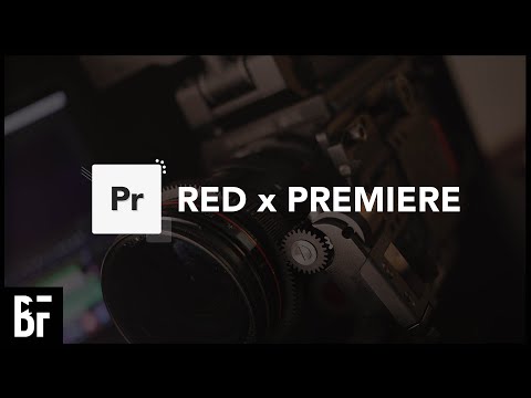 5 EASY Text Effects in Adobe Premiere Pro 2024