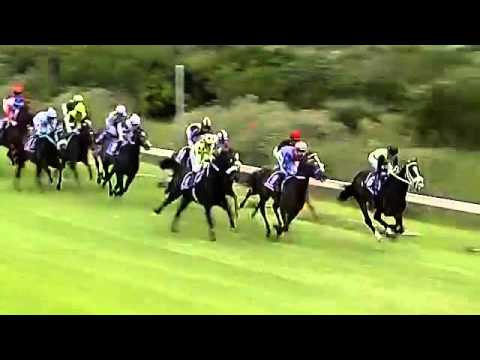 2015.12.19 Cape Guineas (RSA) - Noah From Goa