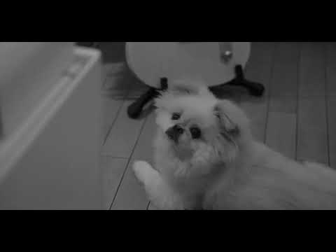 Monochrome 35 – leica sl2 s + summaron 35mm f3 5