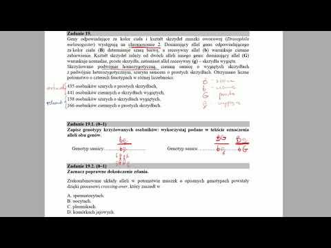 GENETYKA KLASYCZNA - Geny sprzężone - ZADANIA MATURALNE Z BIOLOGII 🌱