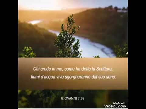 Ogni creatura che respira, lodi il Signore.