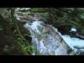 Baba Nam Kevalam - Green by Soja 