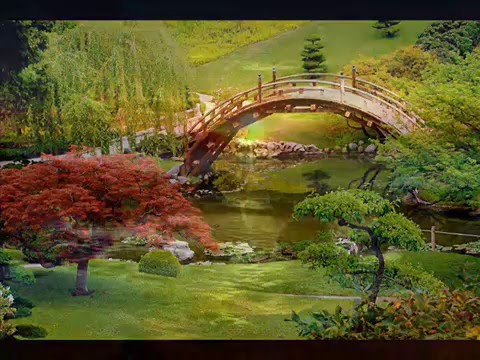 VESELA TIMOCKA KRAJINA 1983 - DRAGANOVO KOLO